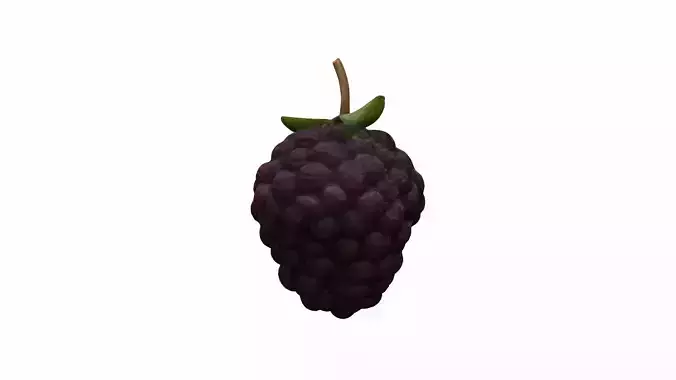3d Model Ripe Mulberries Fruit