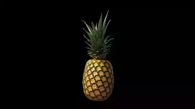 3d Model Pineapple Fresh Fruit