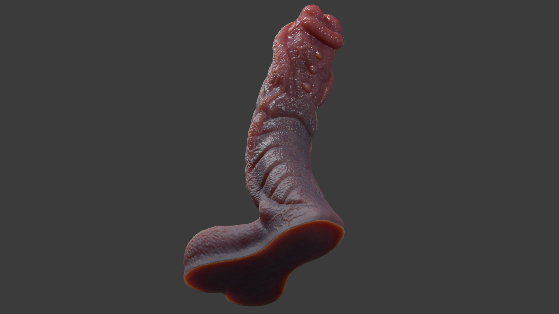 Fantasy Sevanor Dragon Penis Rigged Low-poly 3D model_12