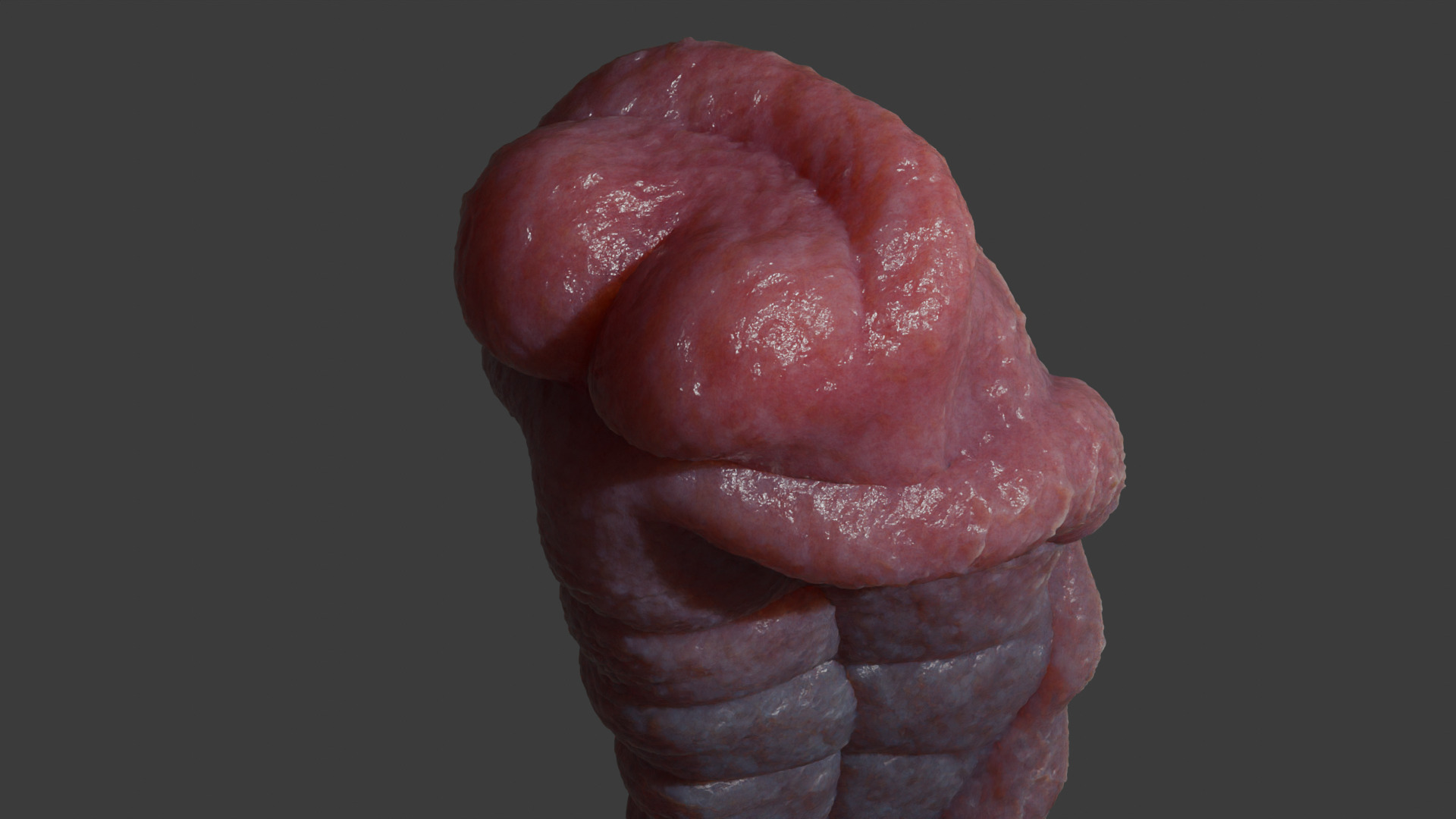 Fantasy Sevanor Dragon Penis Rigged Low-poly 3D model_11