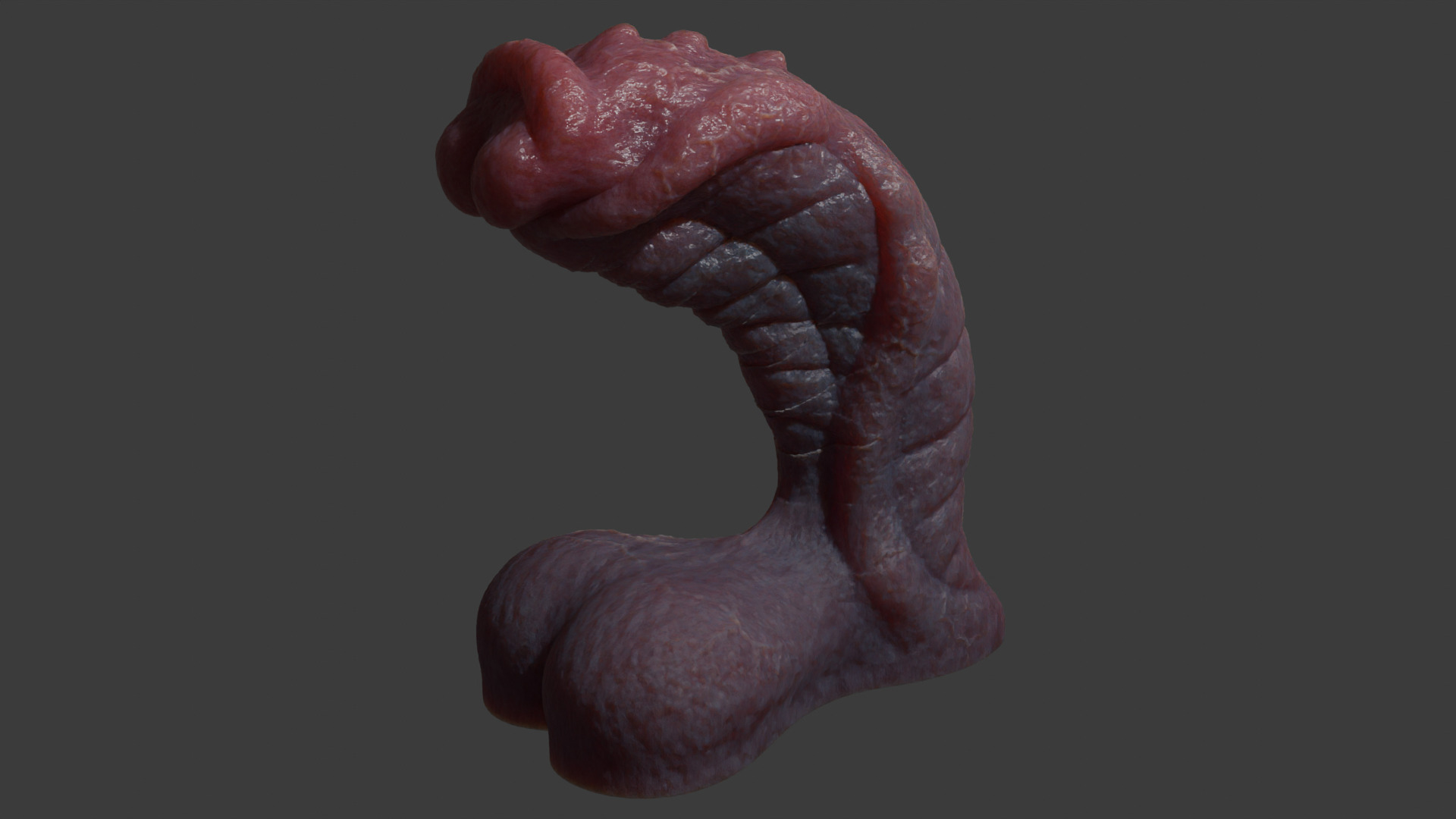 Fantasy Sevanor Dragon Penis Rigged Low-poly 3D model_4