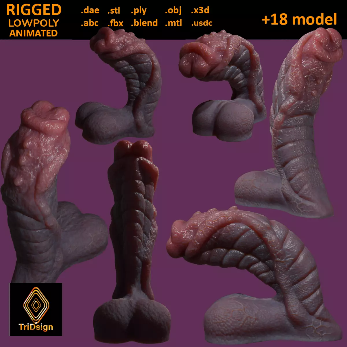 Fantasy Sevanor Dragon Penis Rigged Low-poly 3D model_0