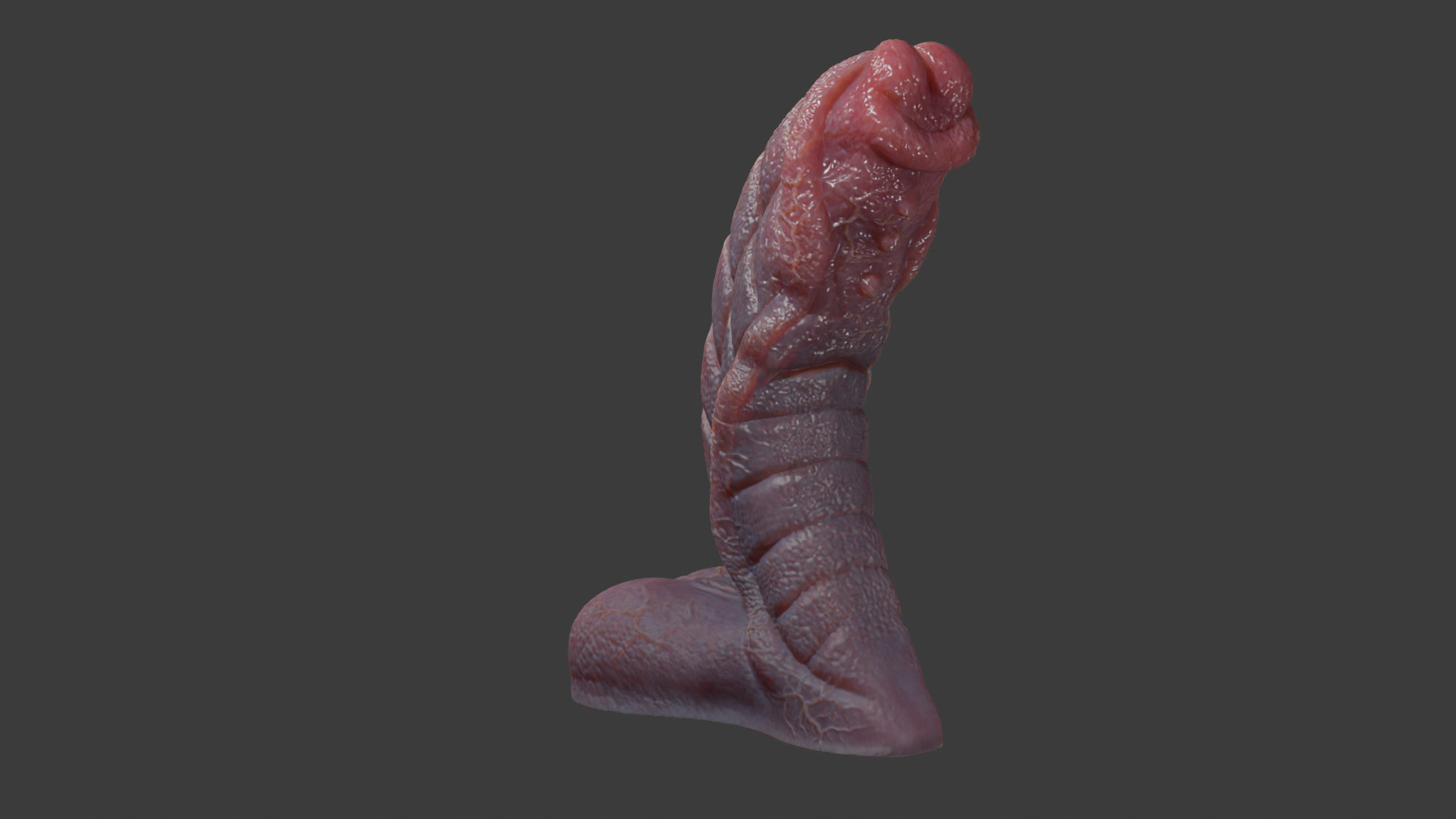 Fantasy Sevanor Dragon Penis Rigged Low-poly 3D model_10