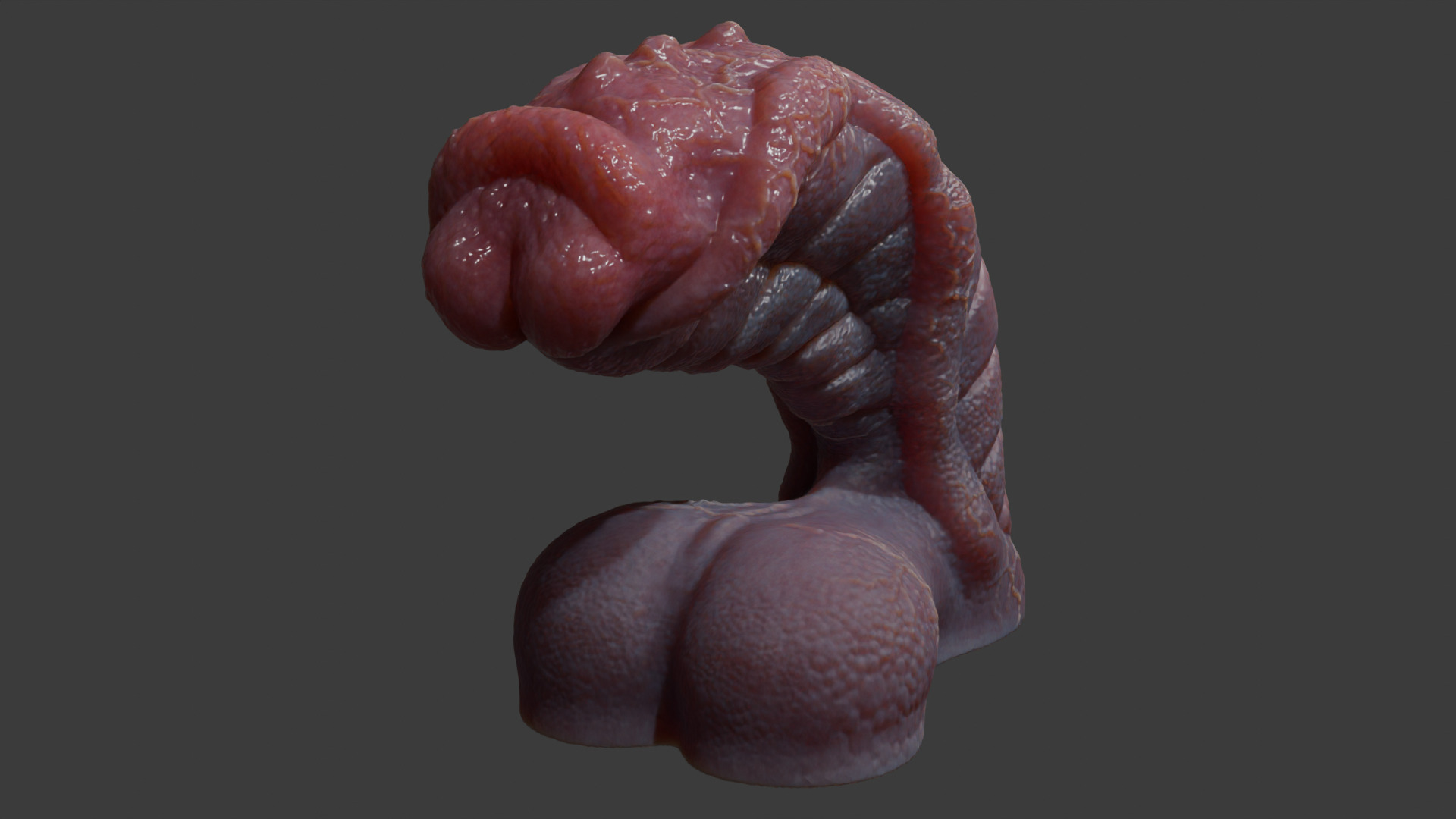 Fantasy Sevanor Dragon Penis Rigged Low-poly 3D model_5