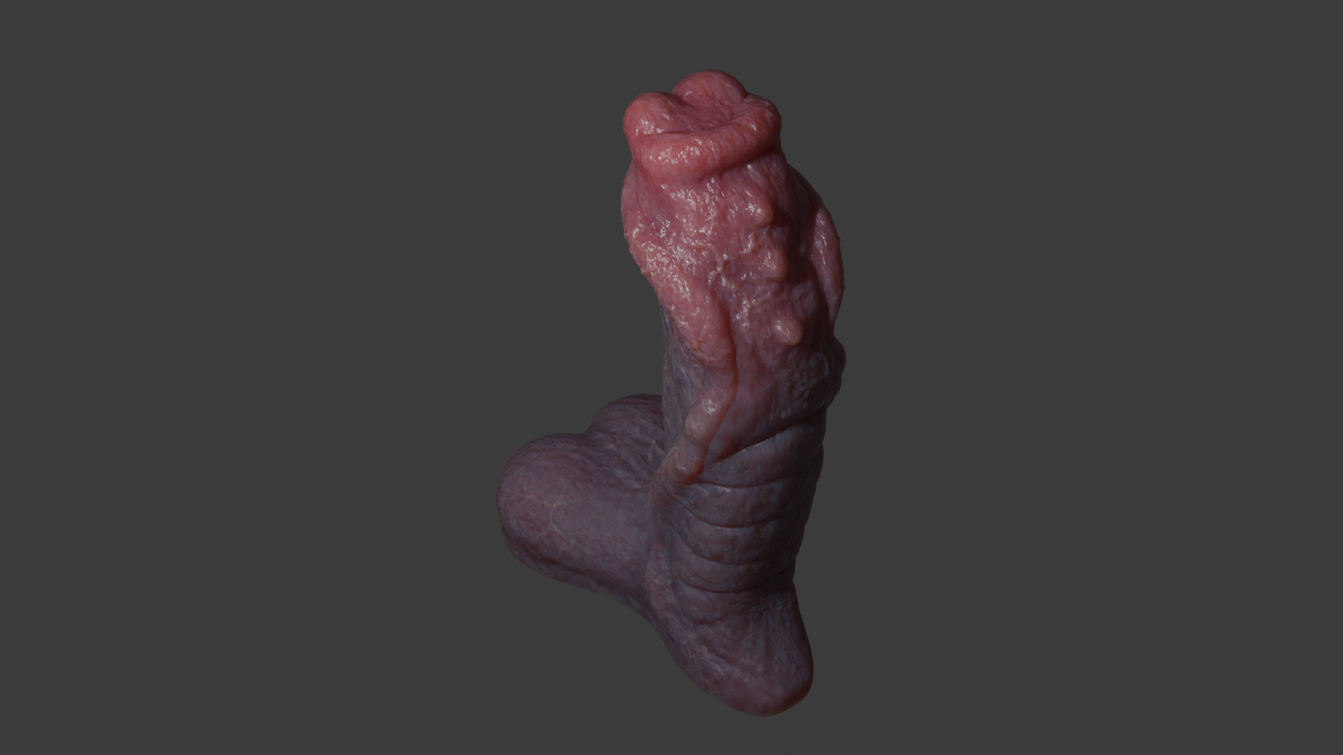 Fantasy Sevanor Dragon Penis Rigged Low-poly 3D model_6