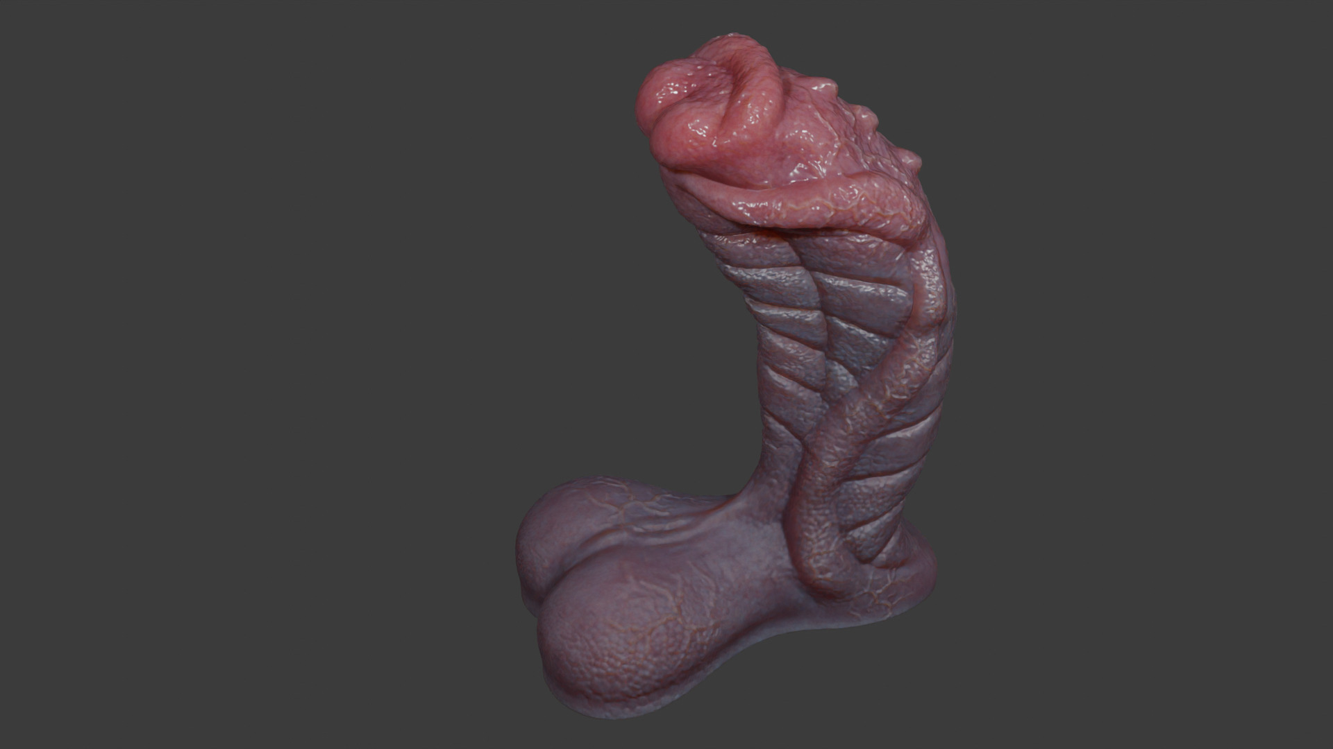 Fantasy Sevanor Dragon Penis Rigged Low-poly 3D model_7