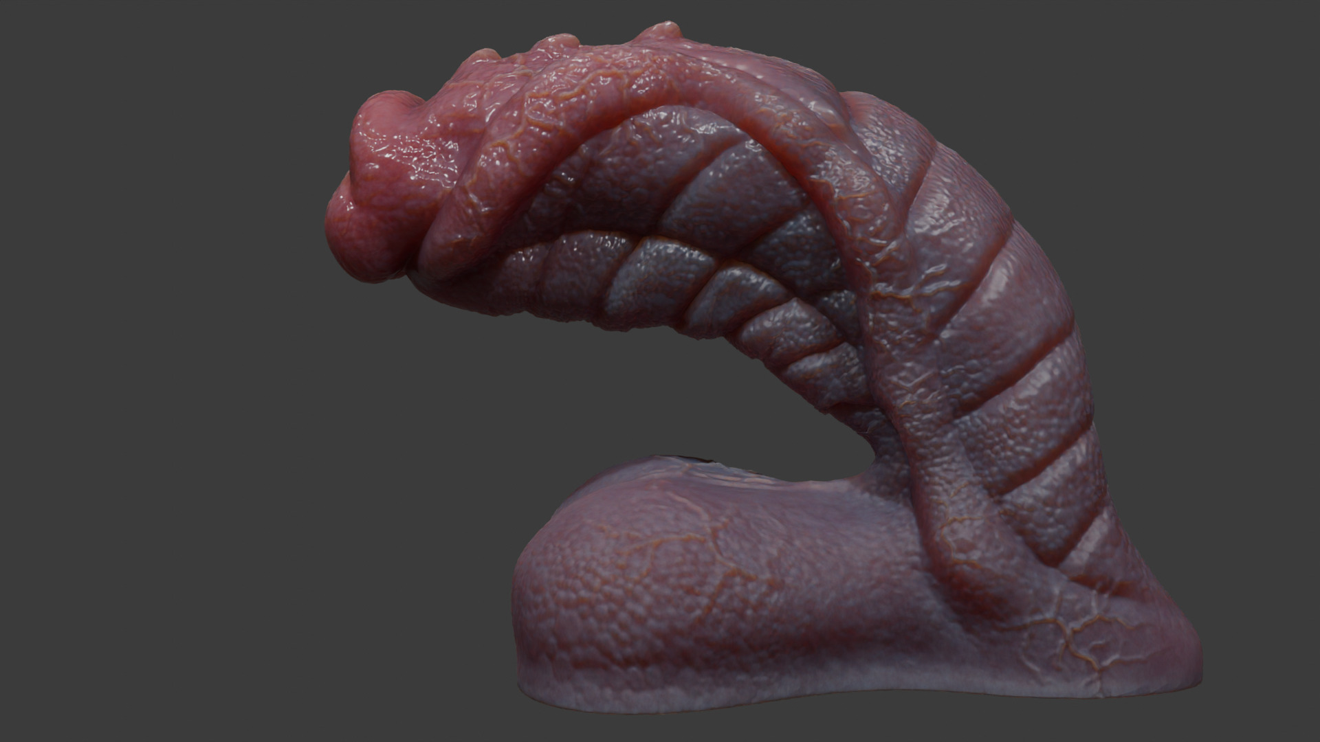 Fantasy Sevanor Dragon Penis Rigged Low-poly 3D model_8