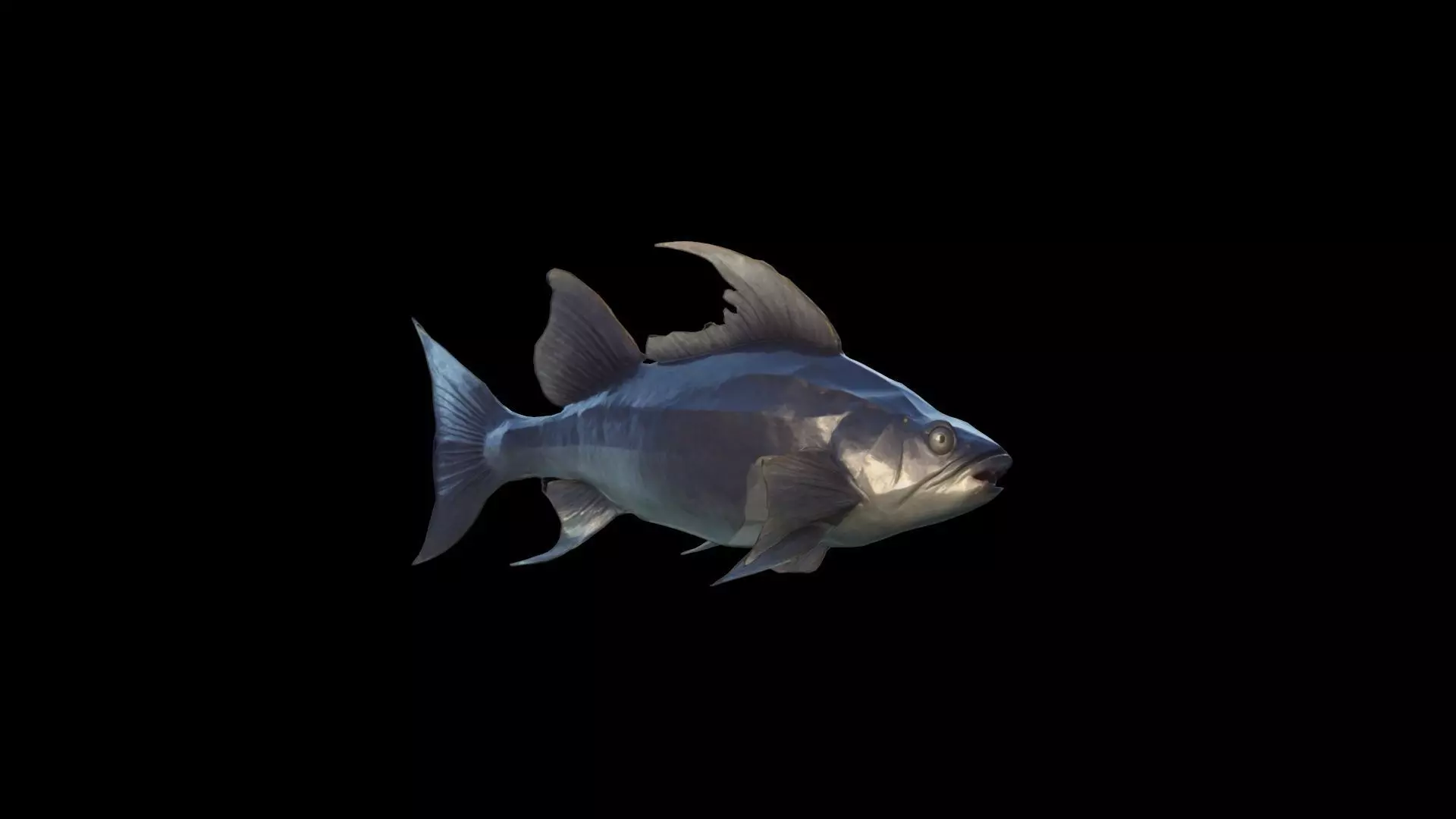3d Model Big Catfish In River Live 3D model