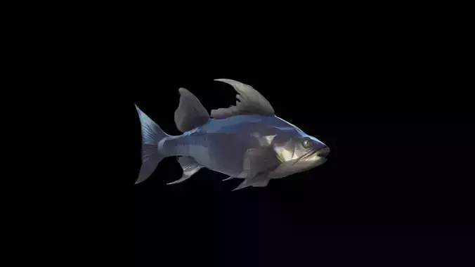 3d Model Big Catfish In River Live