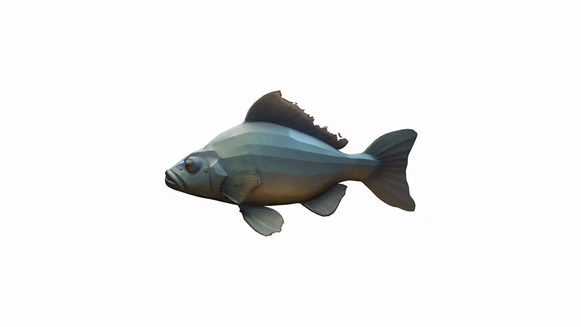 3d Model Big Catfish In River Live 3D model