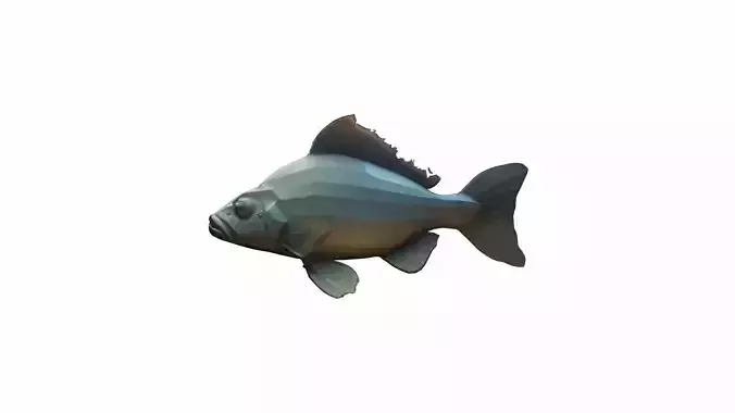 3d Model Big Catfish In River Live