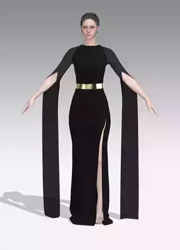 dress long slevee and metalic belt 