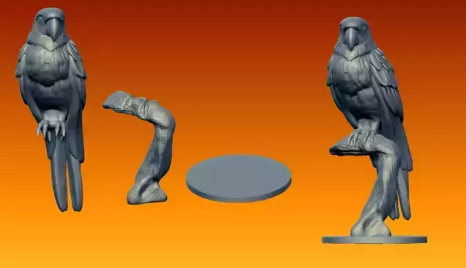 Ara Parrot 3D print model