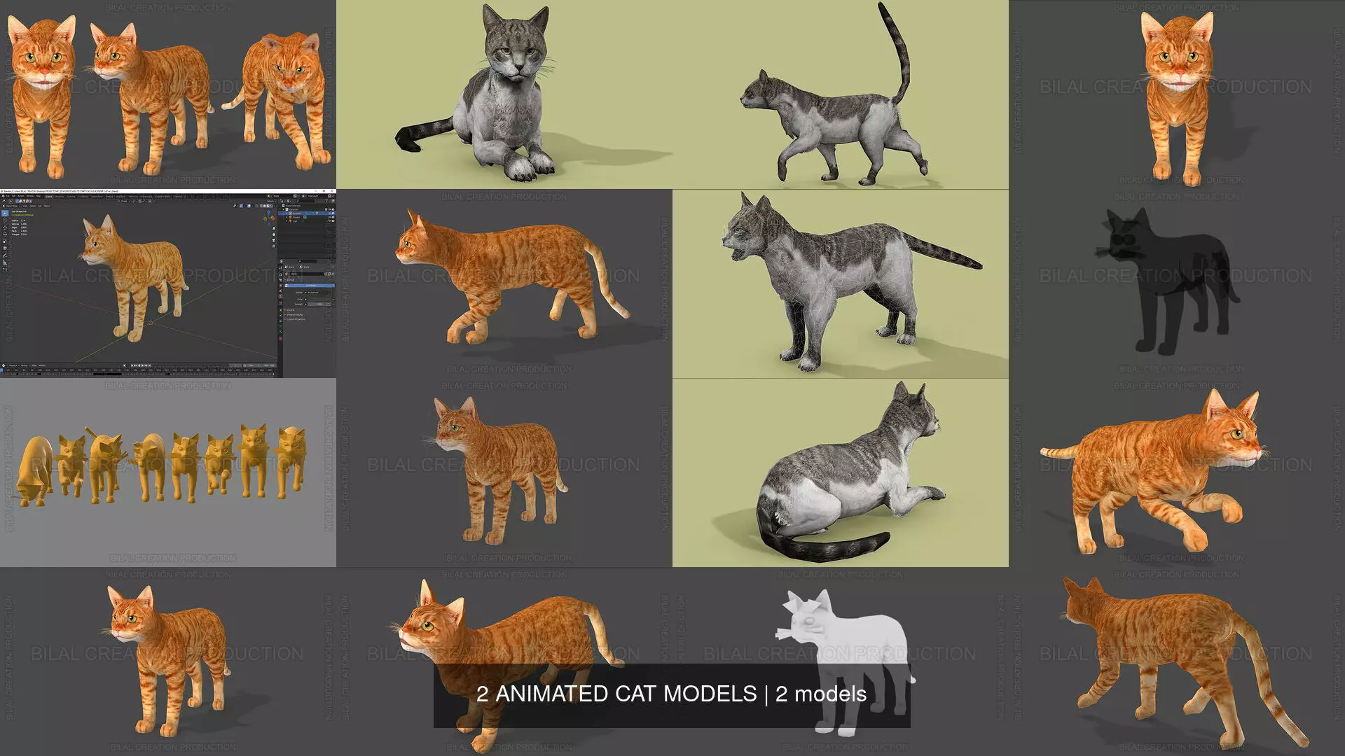 2 ANIMATED CAT MODELS 3D Model Collection_0