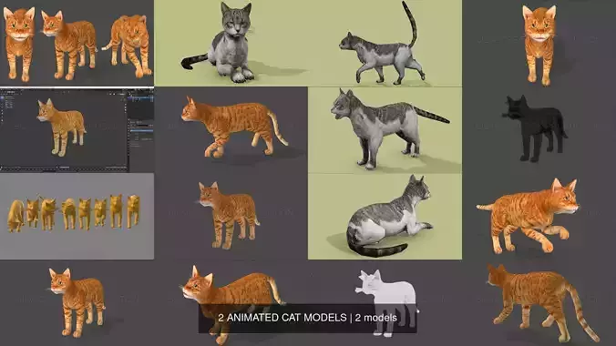 2 ANIMATED CAT MODELS 3D Model Collection