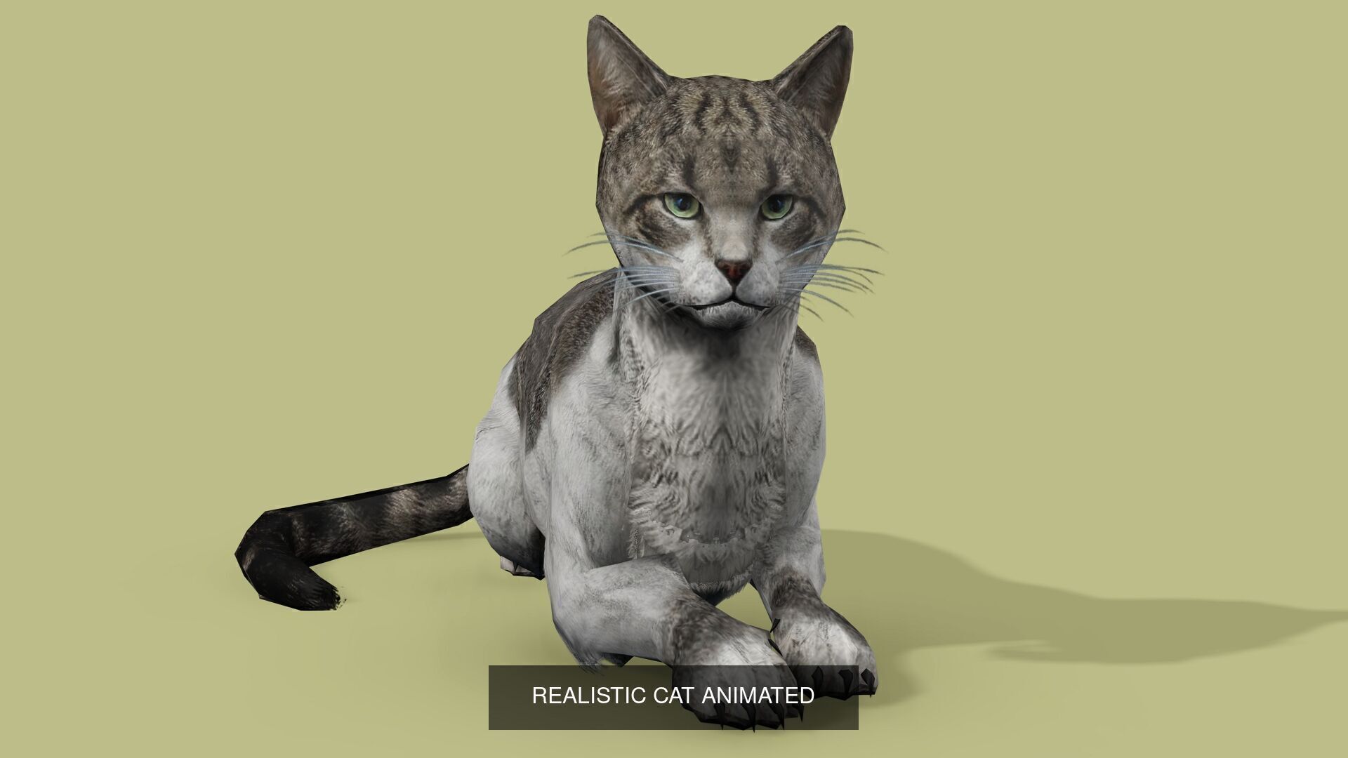 2 ANIMATED CAT MODELS 3D Model Collection_3