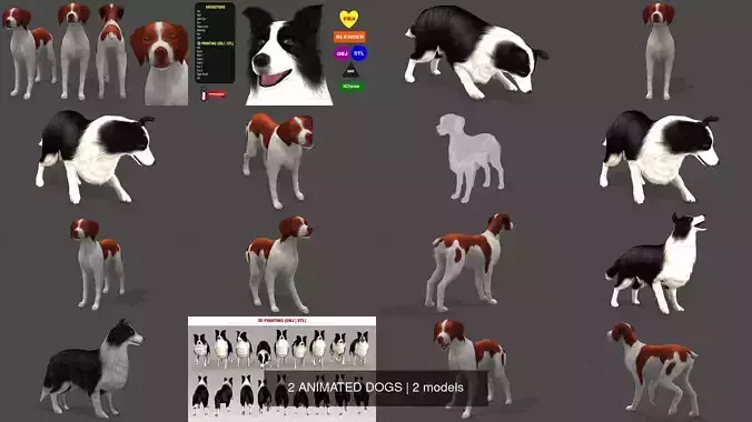 2 ANIMATED DOGS 3D Model Collection
