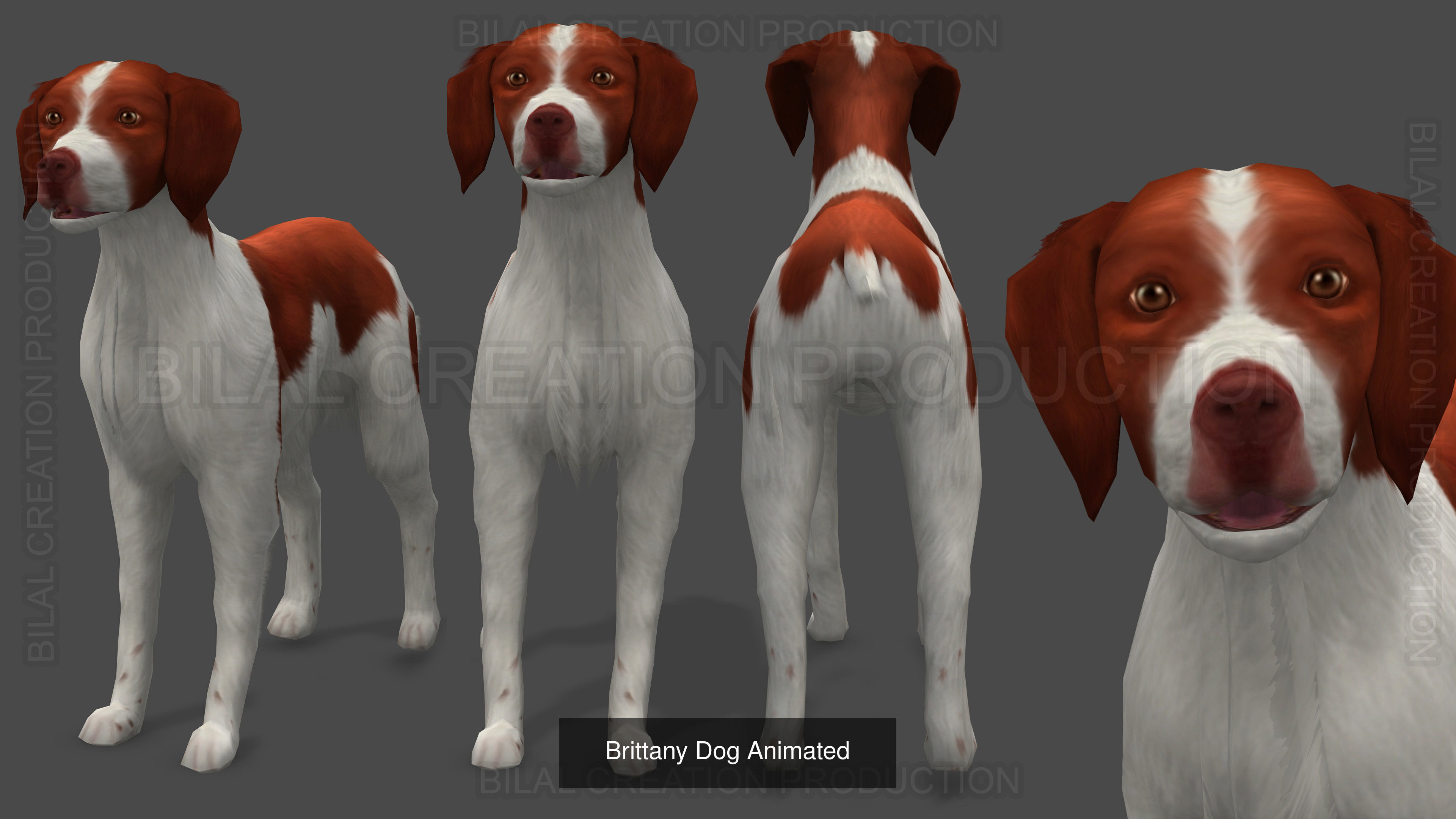 2 ANIMATED DOGS 3D Model Collection_3