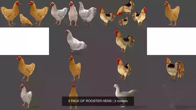 3 PACK OF ROOSTER HENS 3D Model Collection