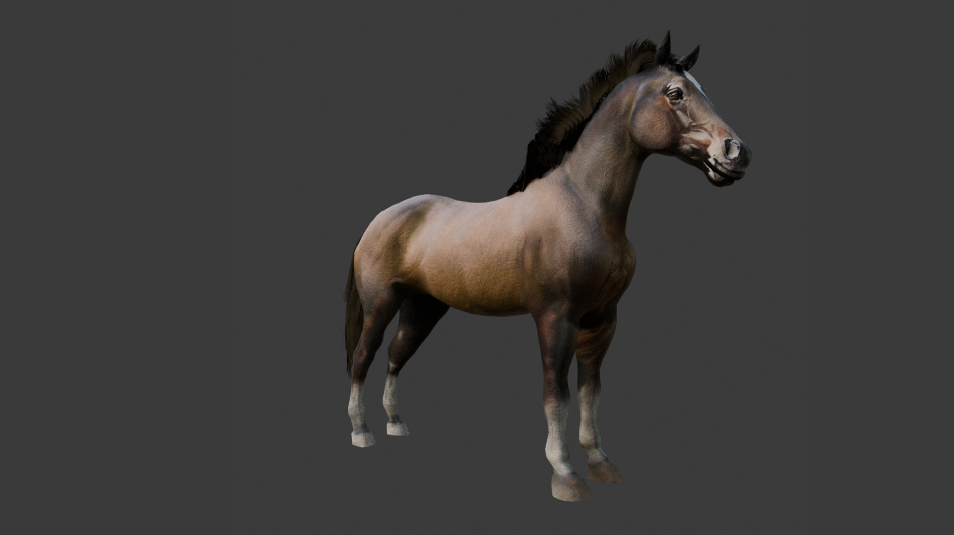 3D Model - Stylized Horse Low-poly 3D model_2