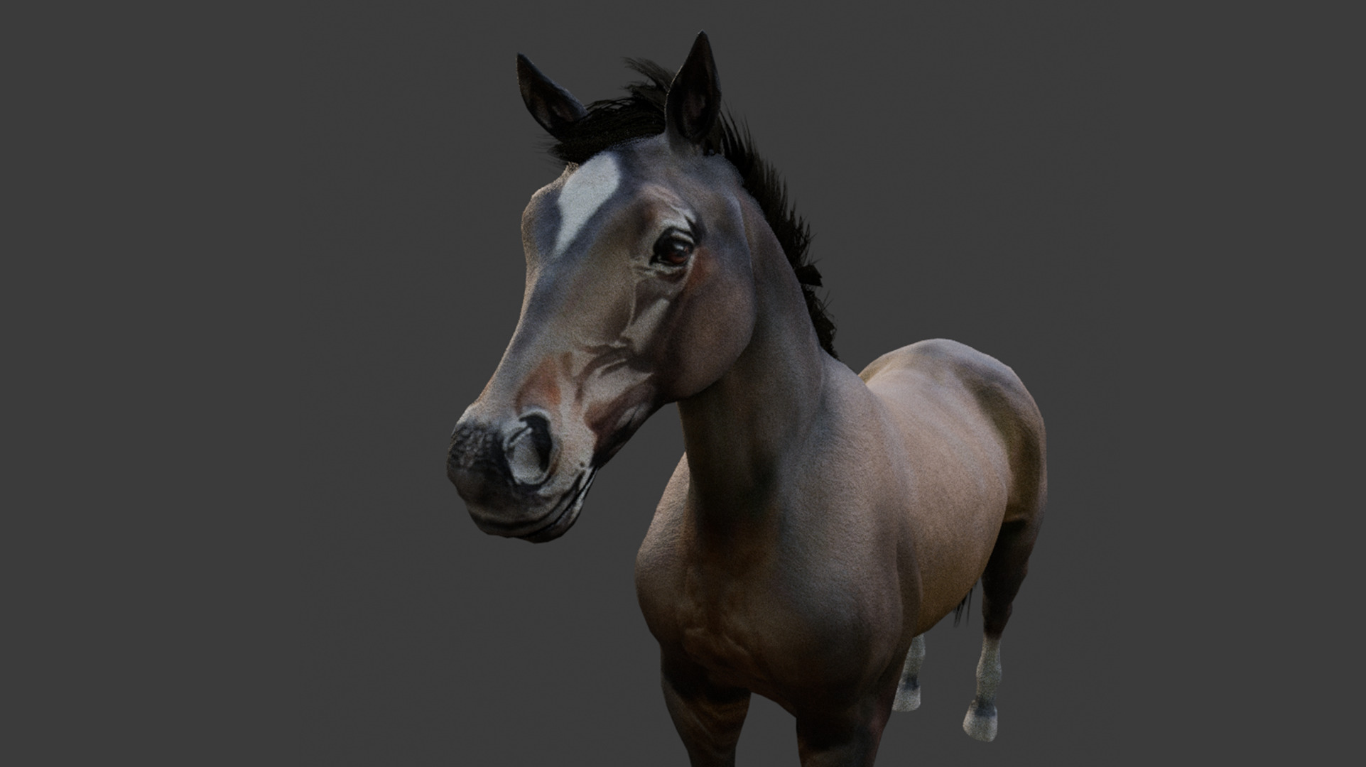 3D Model - Stylized Horse Low-poly 3D model_4