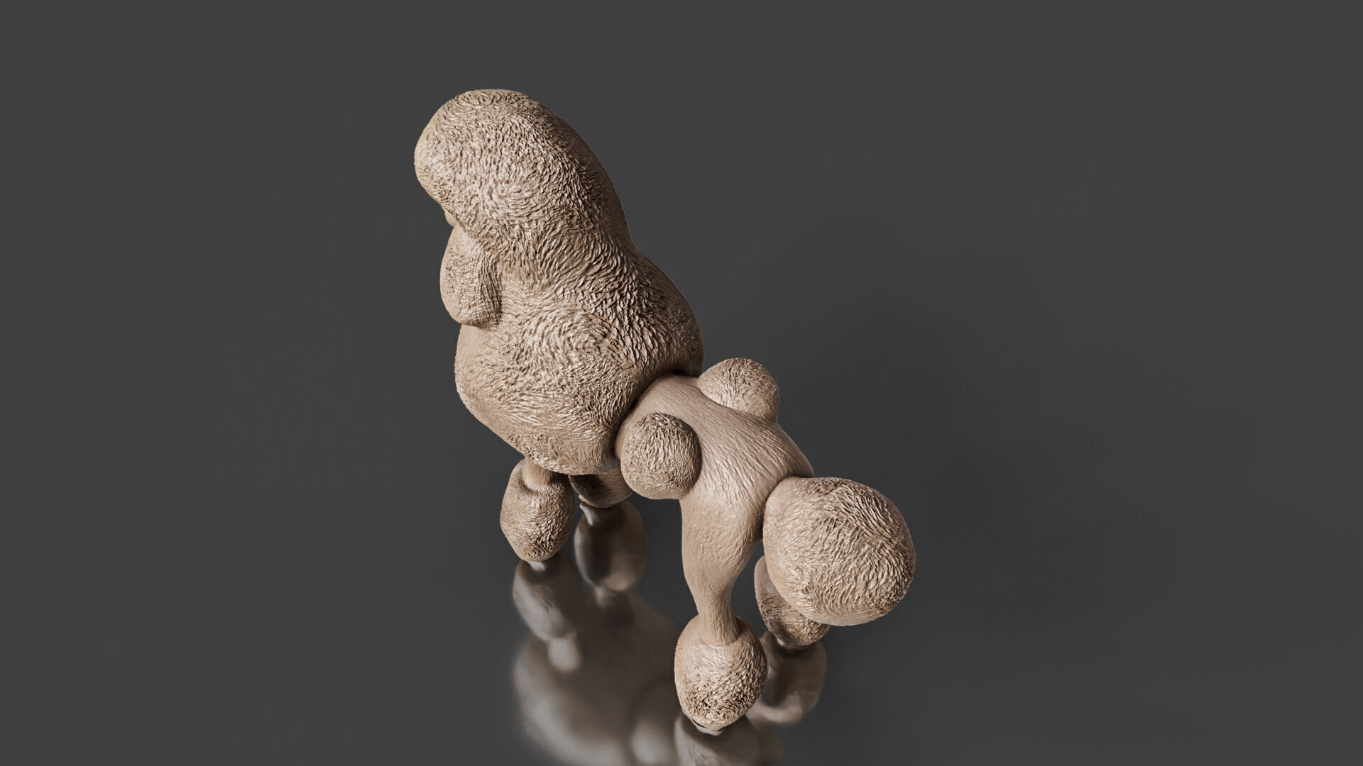 Realistic Poodle Dog Pet 3D print model_4