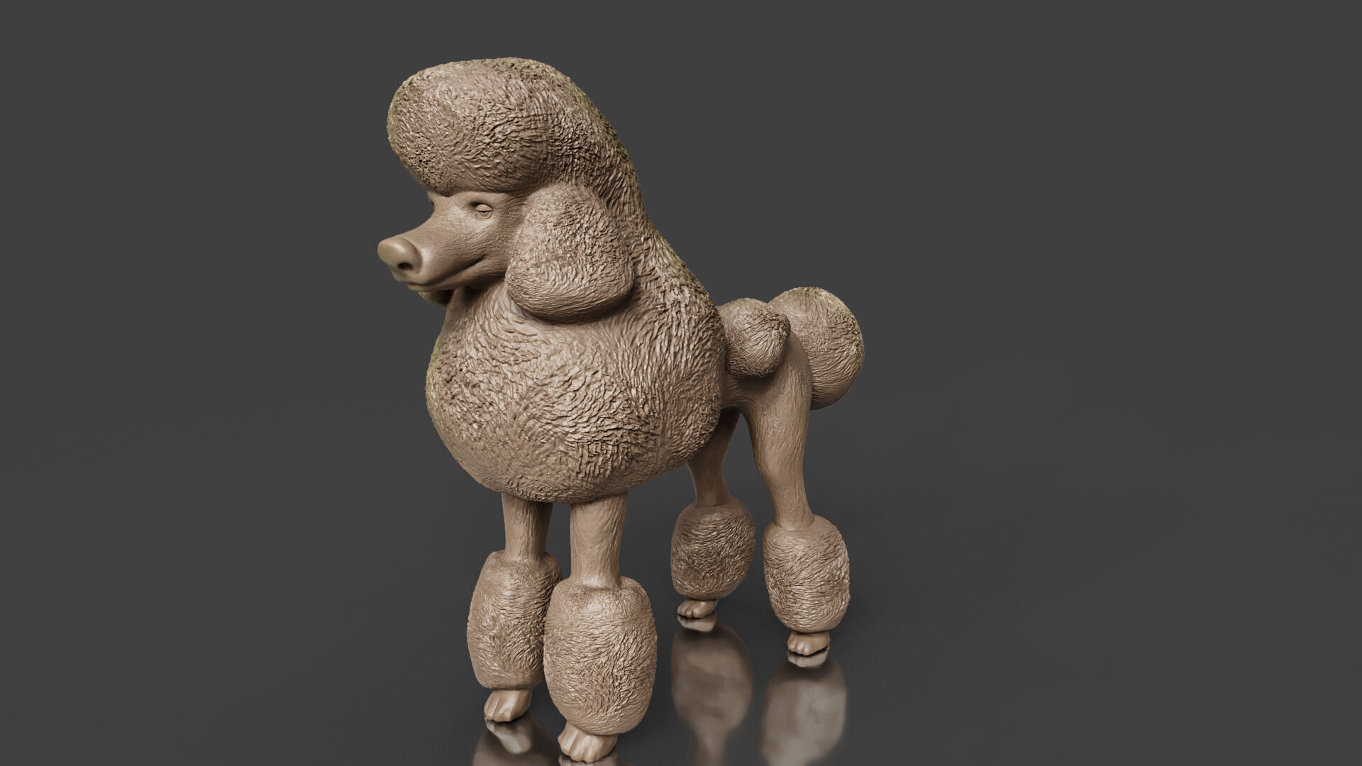 Realistic Poodle Dog Pet 3D print model_2