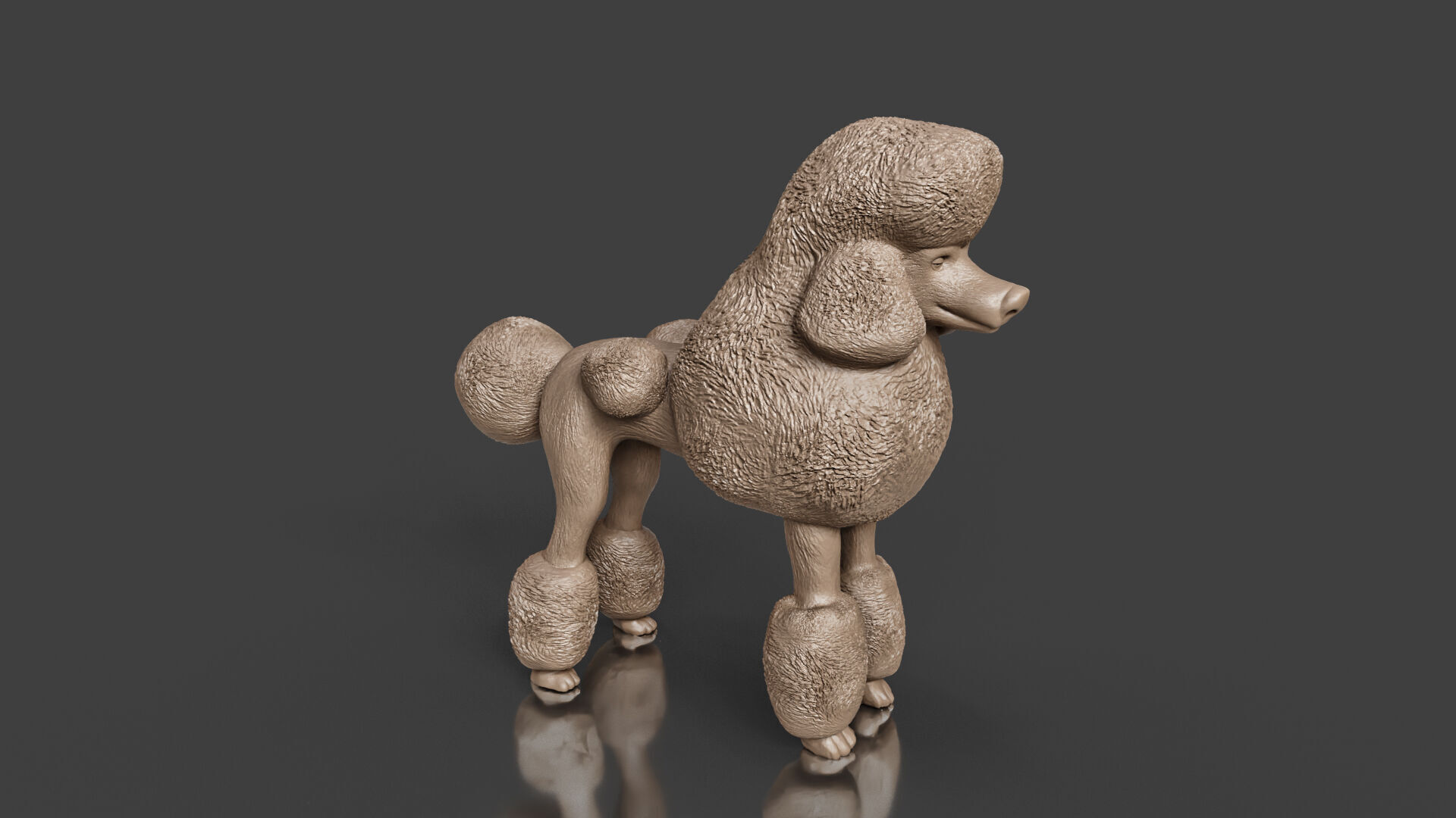 Realistic Poodle Dog Pet 3D print model_6