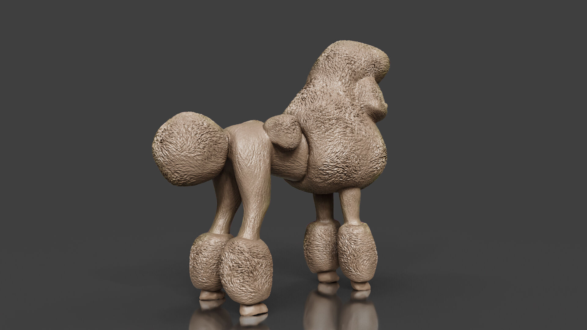 Realistic Poodle Dog Pet 3D print model_5
