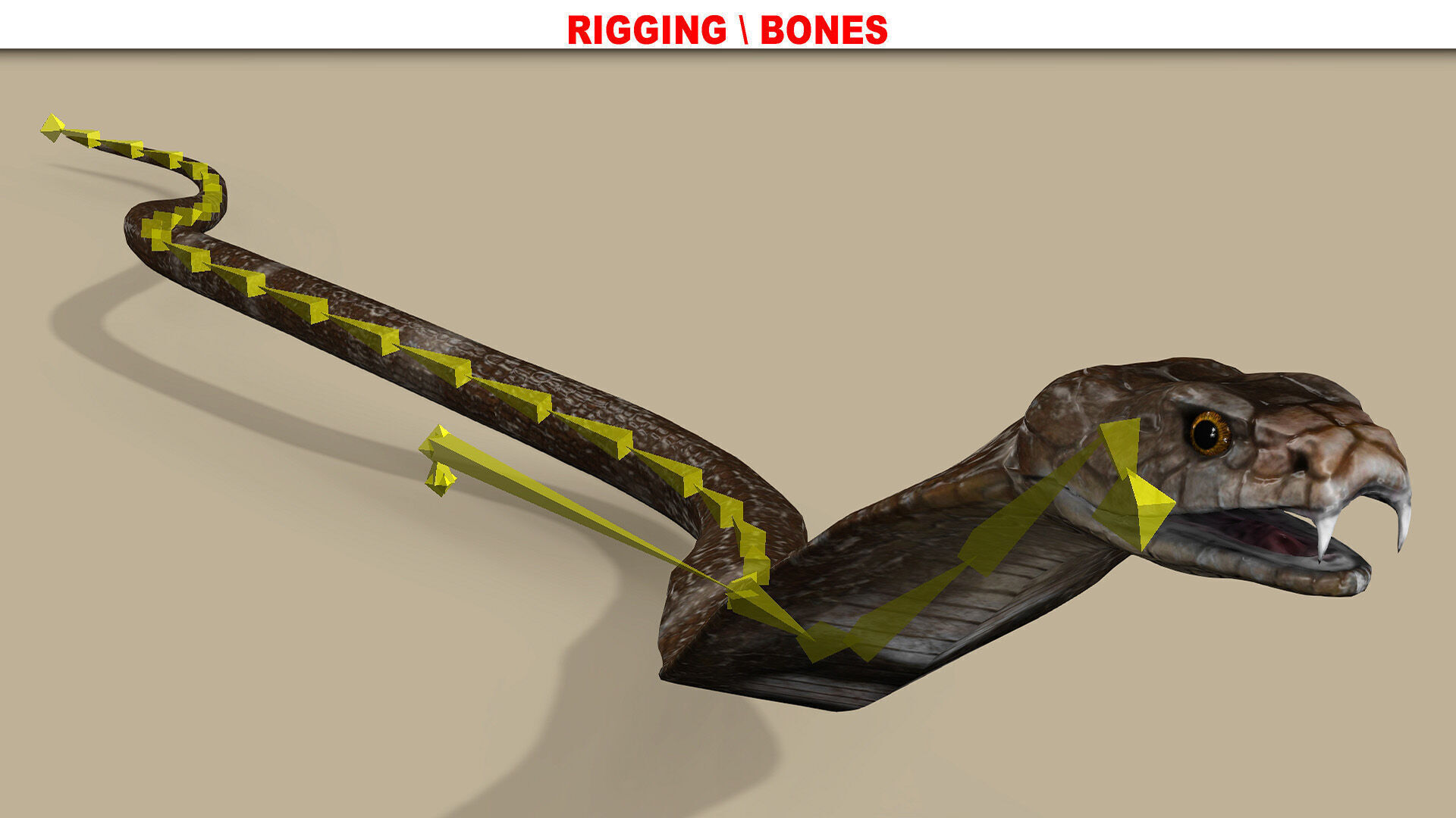 COBRA SNAKE RIGGED ANIMATED 7 Low-poly 3D model_8