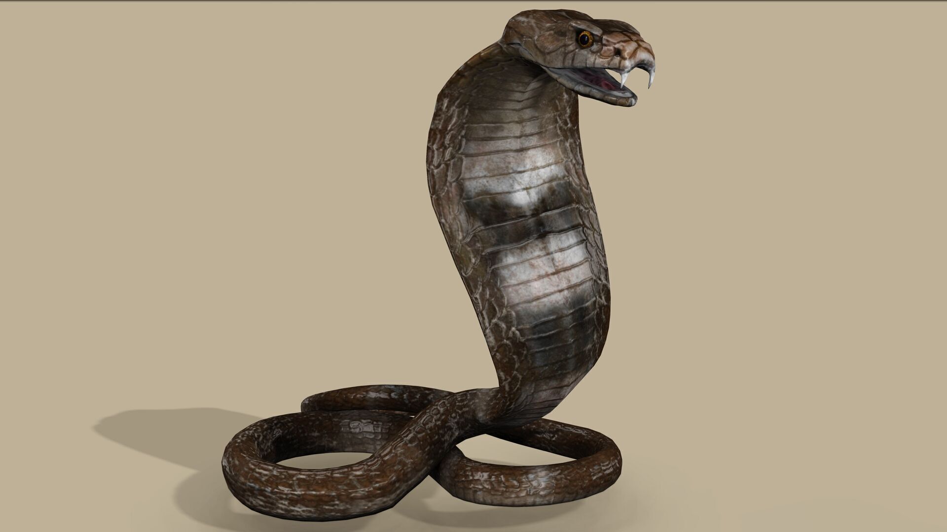 COBRA SNAKE RIGGED ANIMATED 7 Low-poly 3D model_3