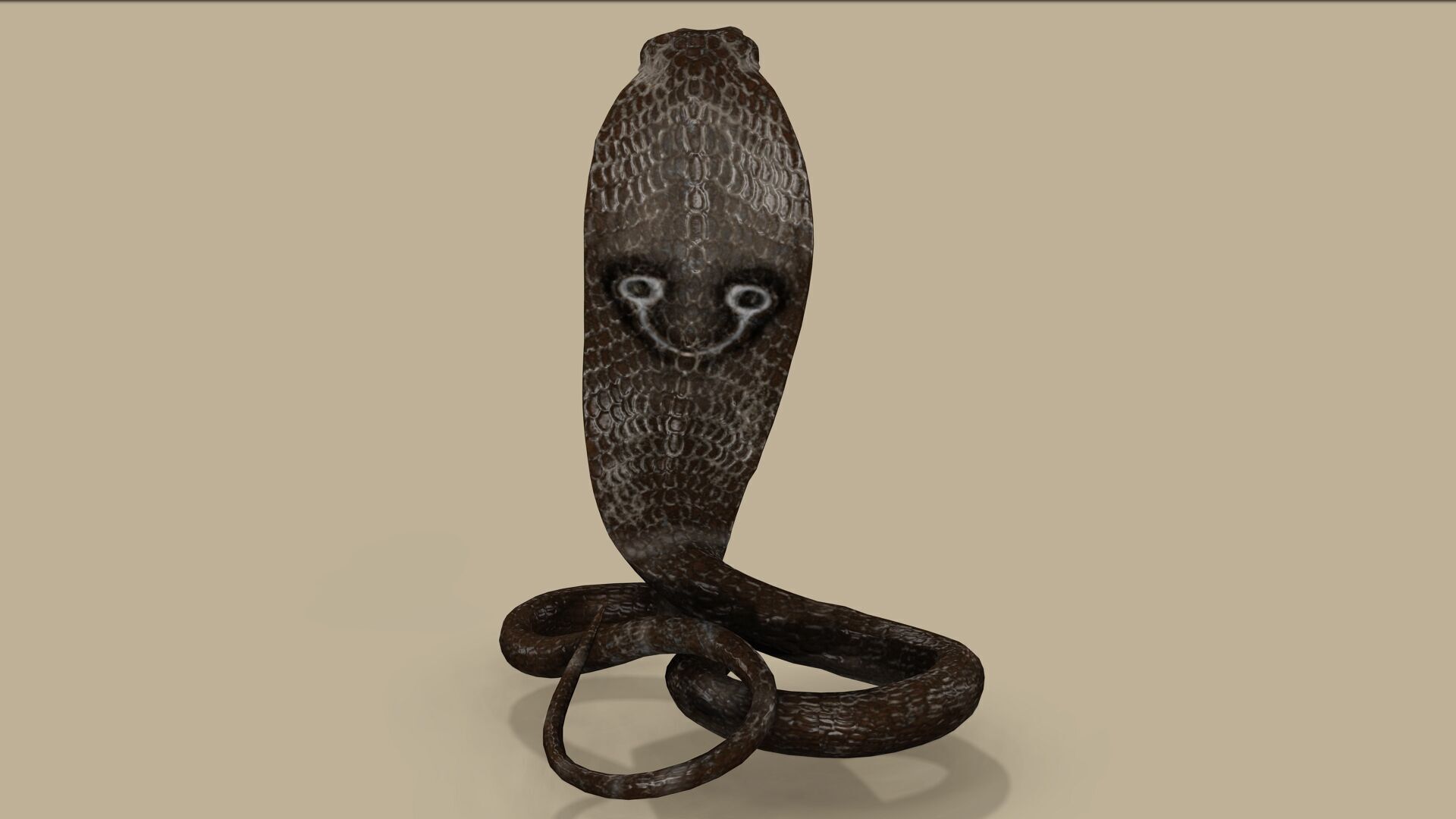 COBRA SNAKE RIGGED ANIMATED 7 Low-poly 3D model_6