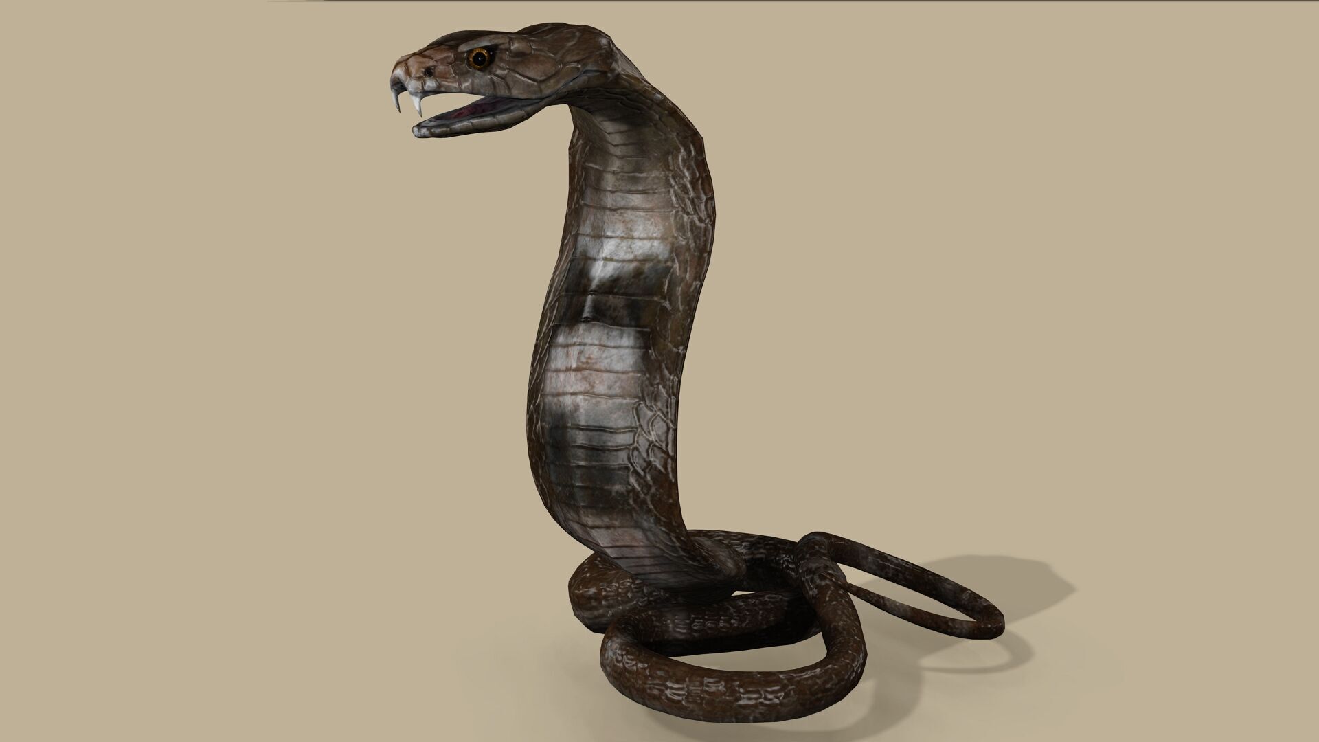 COBRA SNAKE RIGGED ANIMATED 7 Low-poly 3D model_2