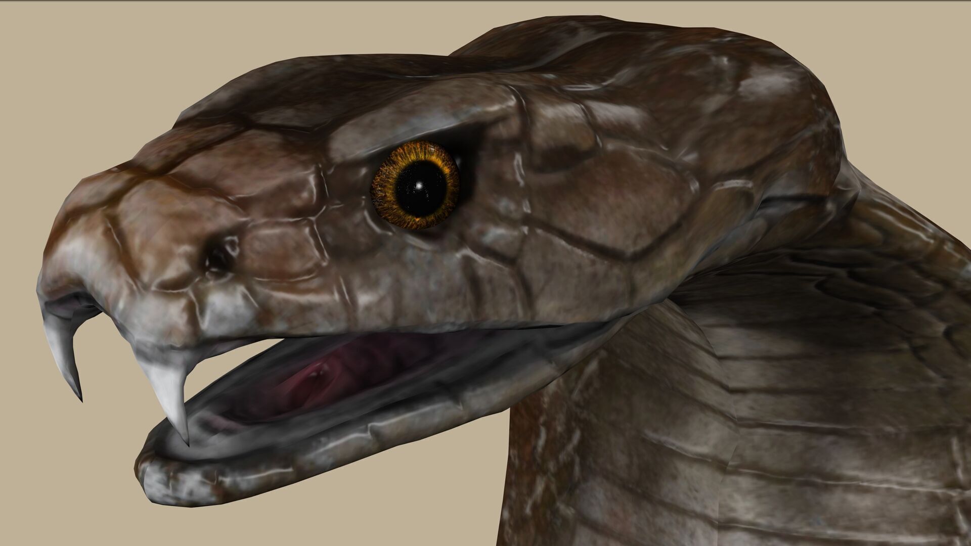 COBRA SNAKE RIGGED ANIMATED 7 Low-poly 3D model_1