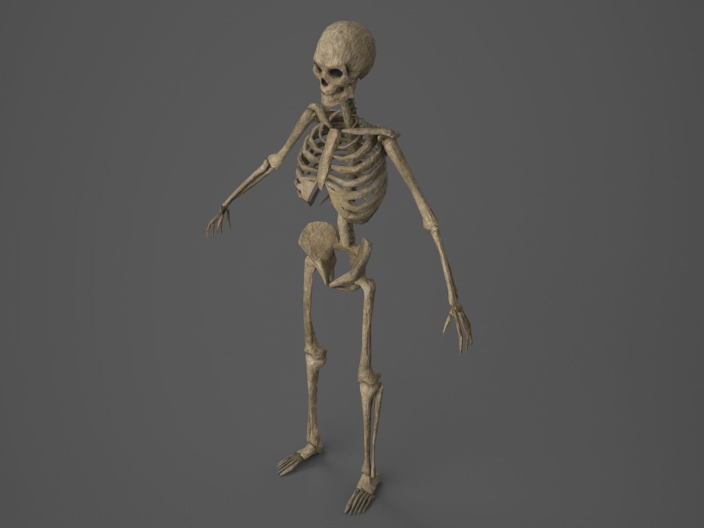 Skeleton - PBR - Animated - Low Poly Free low-poly 3D model_6