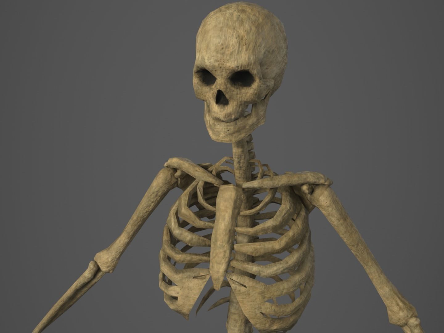Skeleton - PBR - Animated - Low Poly Free low-poly 3D model_1