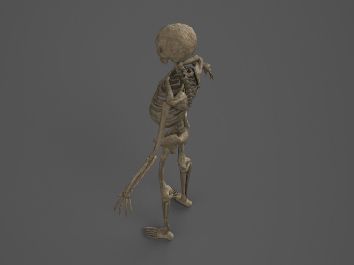 Skeleton - PBR - Animated - Low Poly Free low-poly 3D model_5
