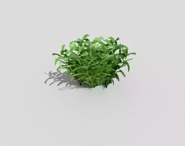 Low poly Plant