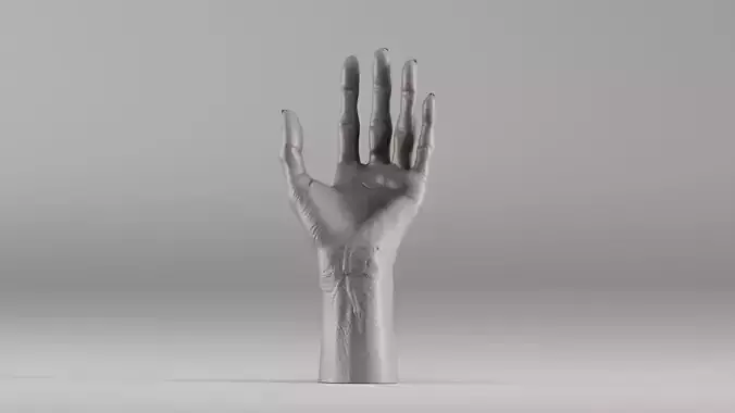 001596 Witch Hand Realistic Sculpted Limb 3D print model