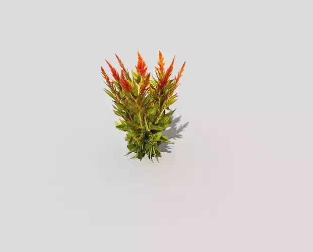 Low poly Plant
