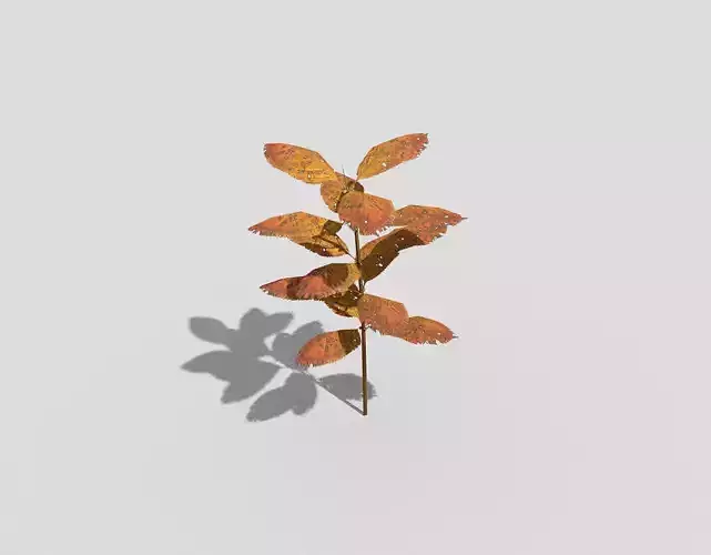 Low poly Plant leaf