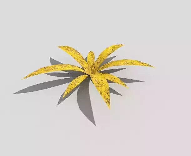 Low poly Plant leaf