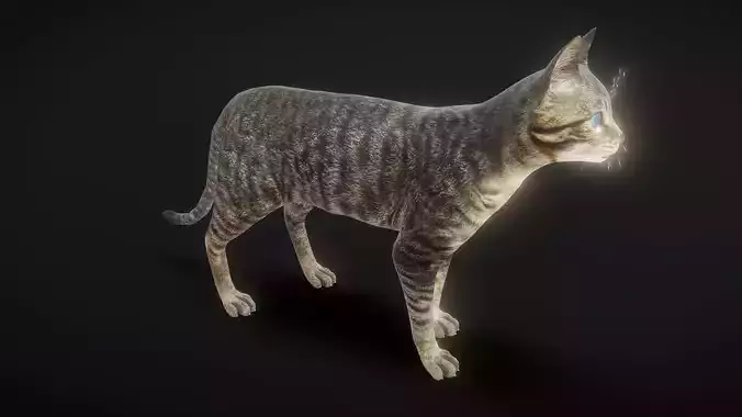 92 complete movements of a cat Low-poly 3D model