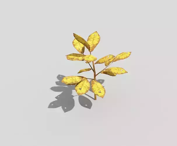 Low poly Plant leaf