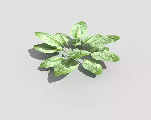 Low poly Plant