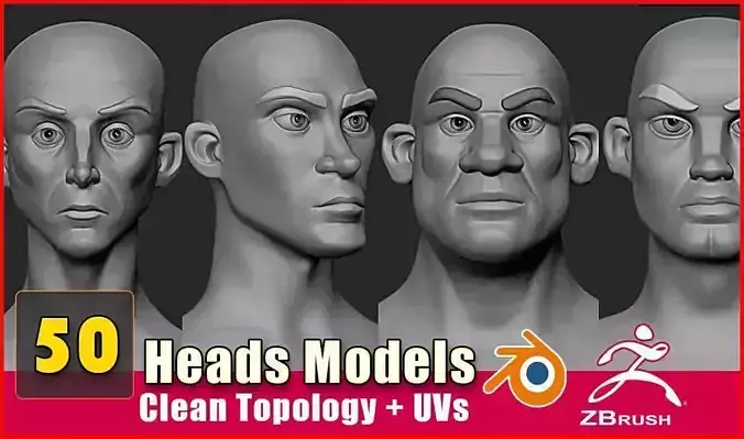 Pack of 50 Stylized - Semi Real Head characters  Game  Ready  Low-poly 3D model