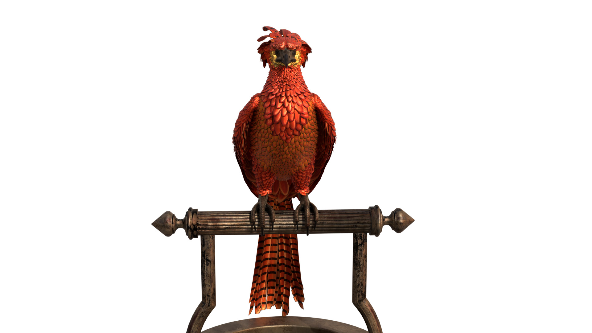 Fawkes Bird Low-poly 3D model_6