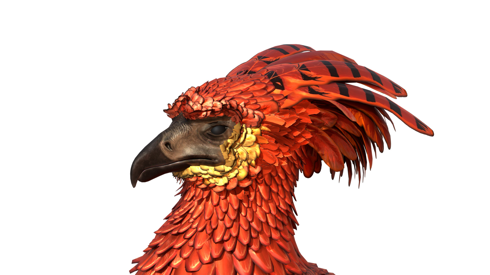 Fawkes Bird Low-poly 3D model_2