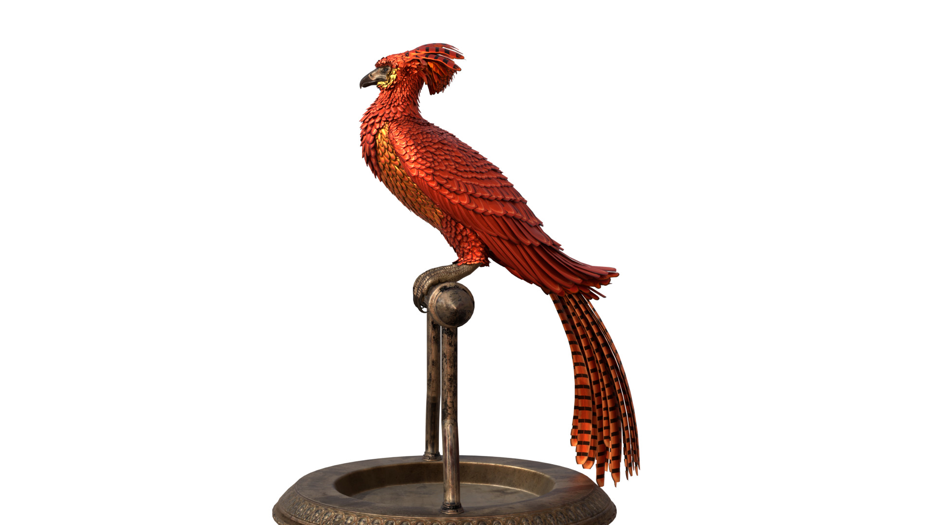 Fawkes Bird Low-poly 3D model_10