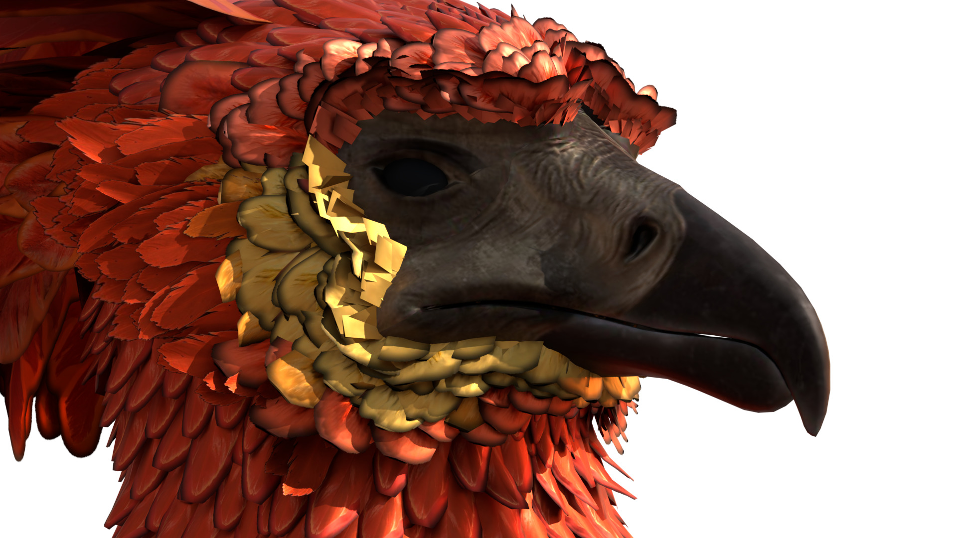 Fawkes Bird Low-poly 3D model_8